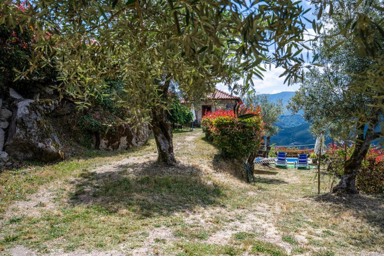 Quinta Da Baldieira Mondim de Basto Eksteriør bilde