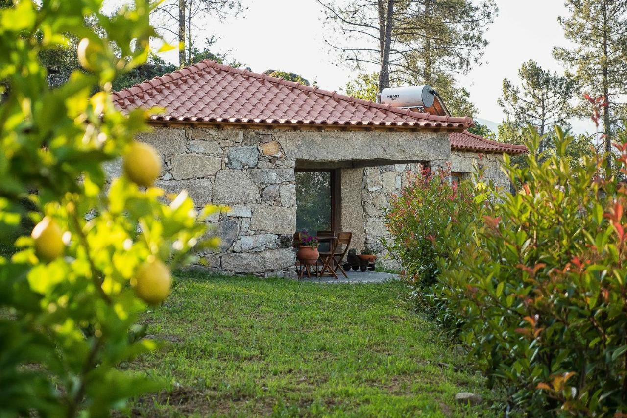 Quinta Da Baldieira Mondim de Basto Eksteriør bilde